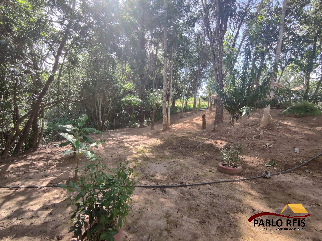 Fazenda à venda com 4 quartos, 6500m² - Foto 32