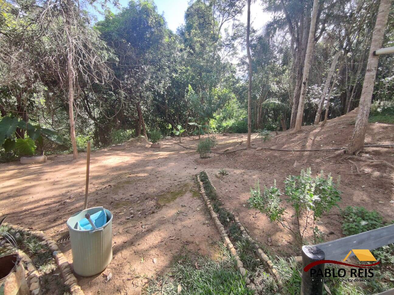 Fazenda à venda com 4 quartos, 6500m² - Foto 29