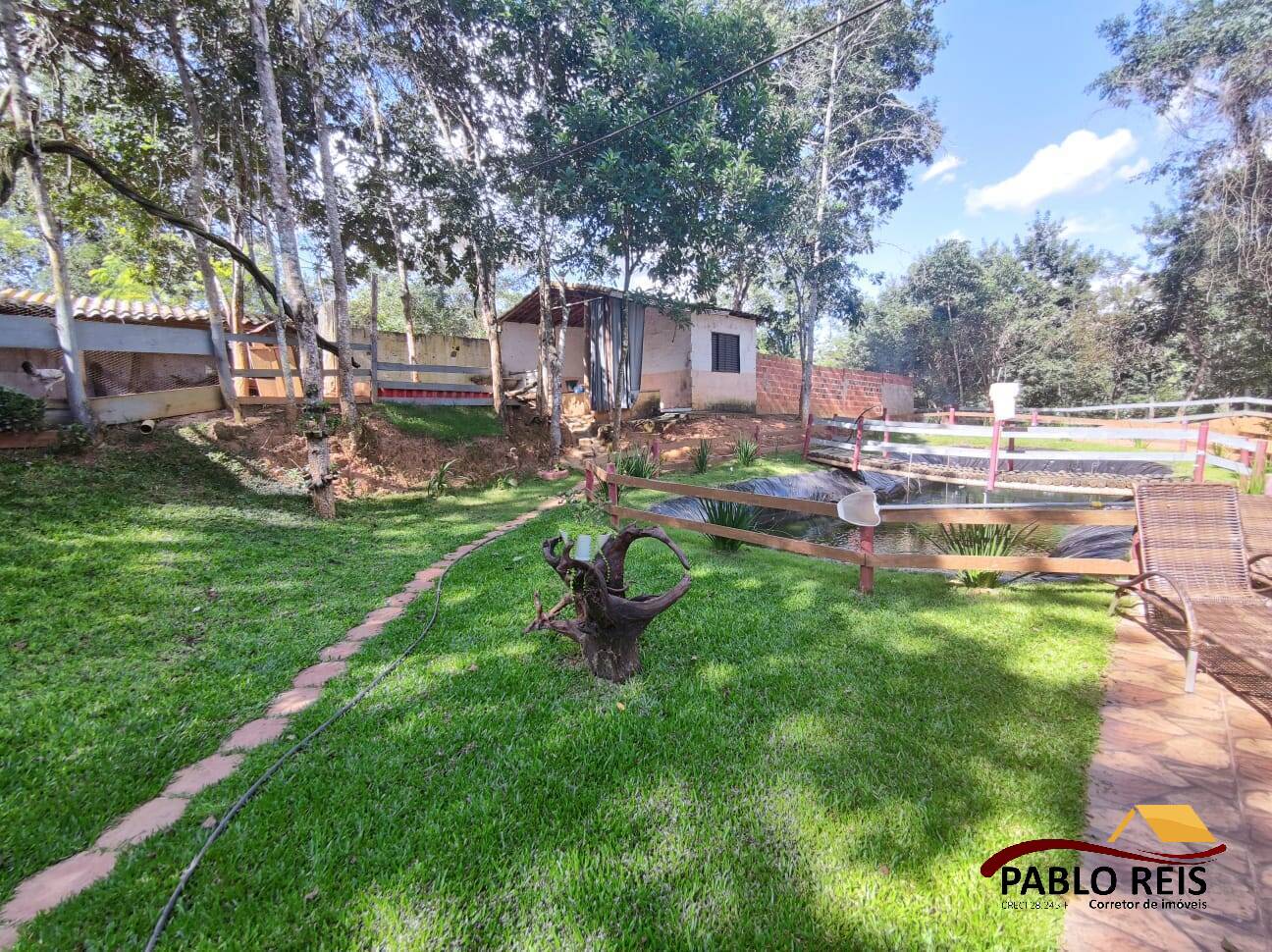 Fazenda à venda com 4 quartos, 6500m² - Foto 14