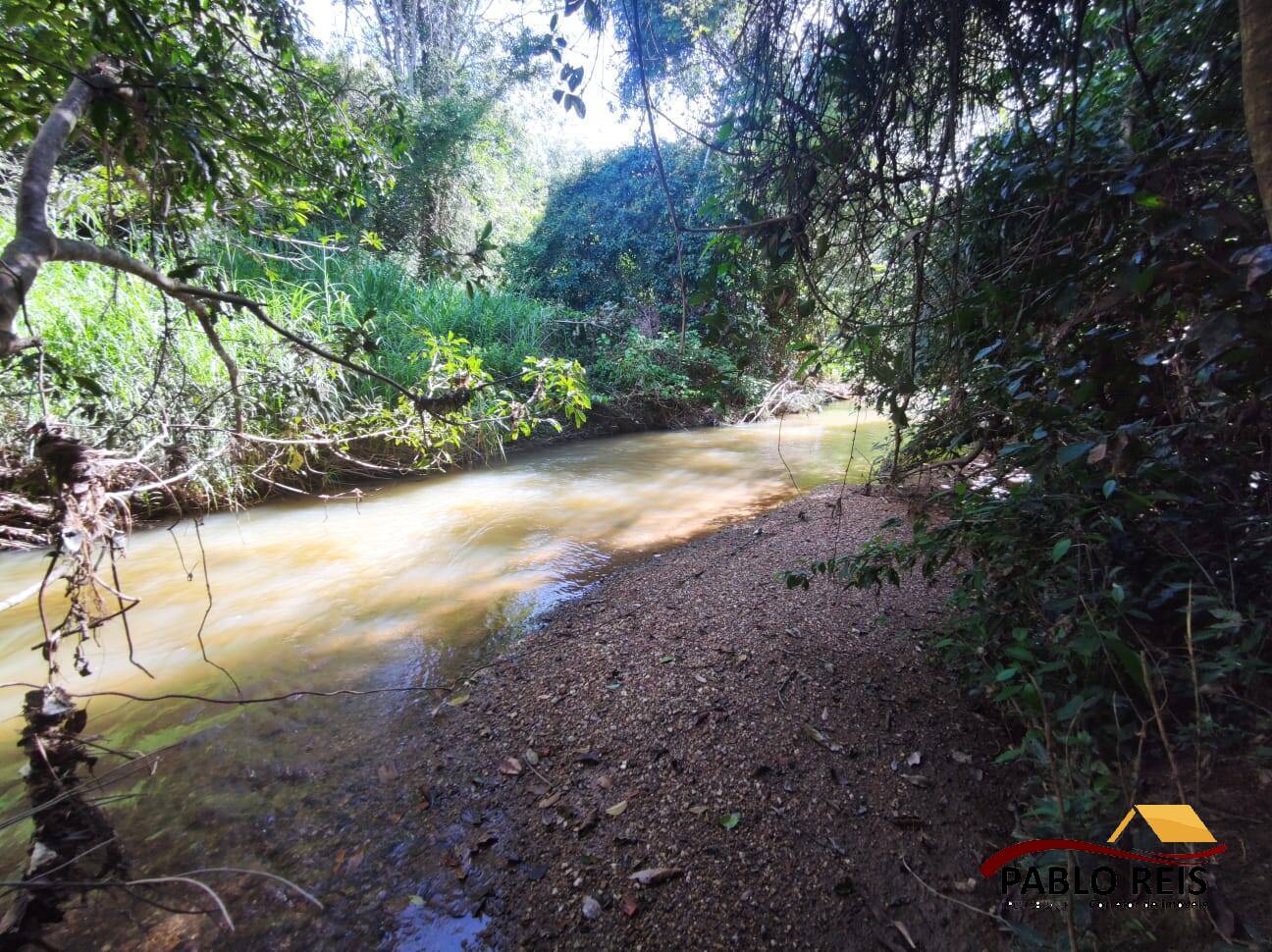 Fazenda à venda com 4 quartos, 6500m² - Foto 5