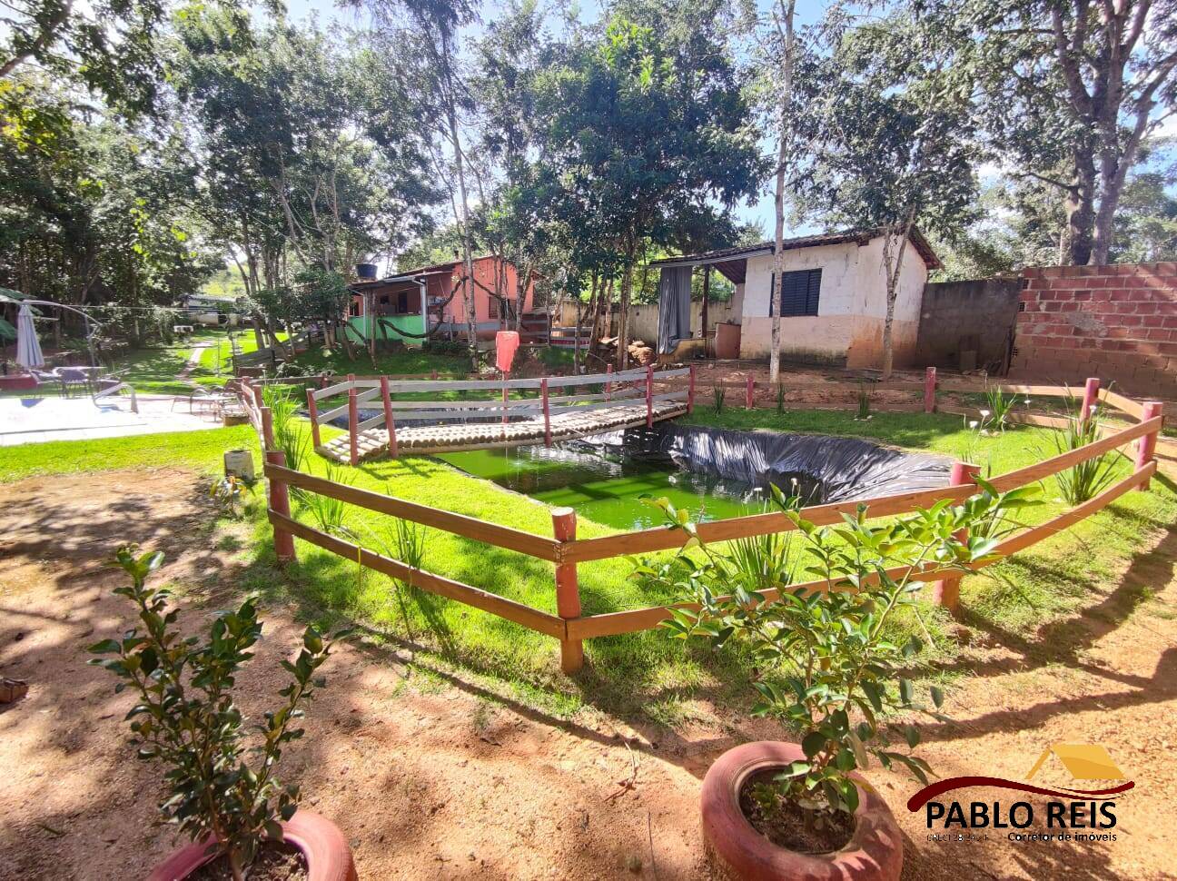 Fazenda à venda com 4 quartos, 6500m² - Foto 3